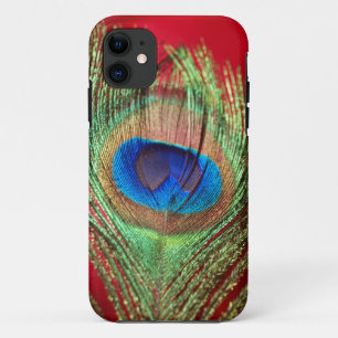 Peacock Silky Red Still Life iPhone 11 Case