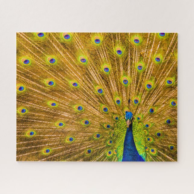 Peacock, Silver Falls, Kauai, Hawaii Jigsaw Puzzle (Horizontal)