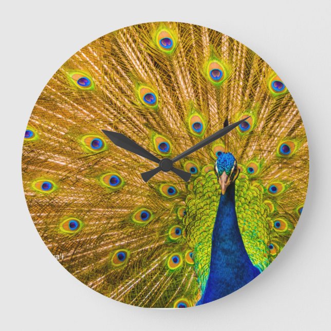 Peacock, Silver Falls, Kauai, Hawaii Large Clock (Front)