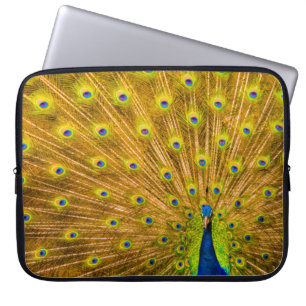 Peacock, Silver Falls, Kauai, Hawaiian Wetsuit Laptop Sleeve