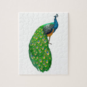Peacock  Small Jigsaw Puzzle