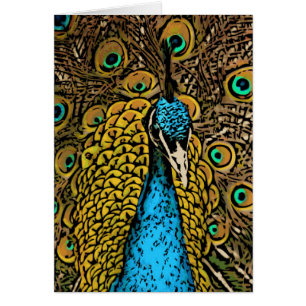 Peacock Splendour Illustration