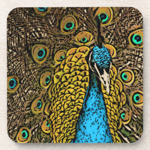 Peacock Splendour Illustration Coaster