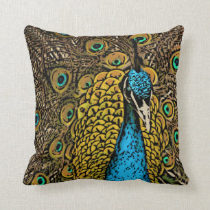 Peacock Splendour Illustration Cushion