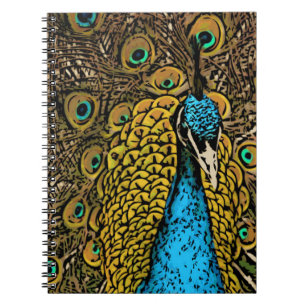Peacock Splendour Illustration Notebook
