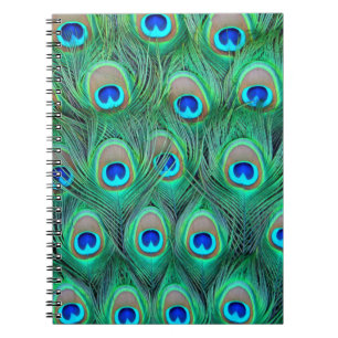 Peacock Splendour Notebook