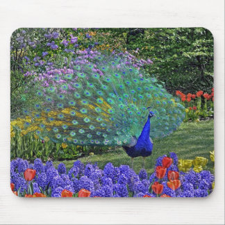 Peacock Spring Fowers 2 Mouse Pad