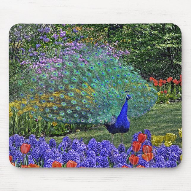 Peacock Spring Fowers 2 Mouse Pad (Front)