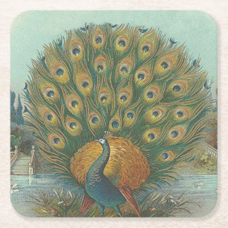 Peacock Square Paper Coaster