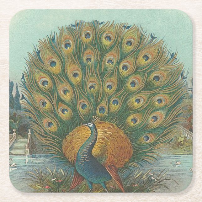 Peacock Square Paper Coaster (Front)