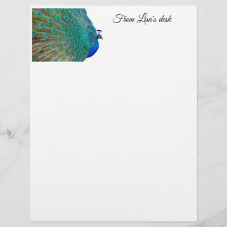 Peacock Stationary Custom Letterhead