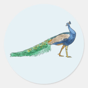 Peacock Stickers 