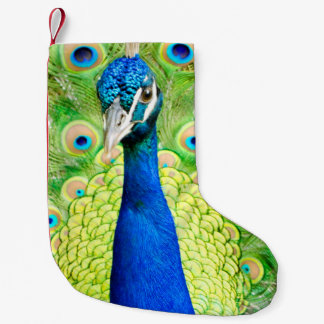 Peacock Stocking
