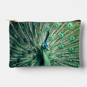 Peacock Strut  Accessory Pouch
