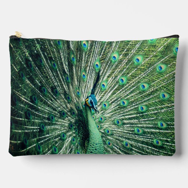Peacock Strut  Accessory Pouch (Front)