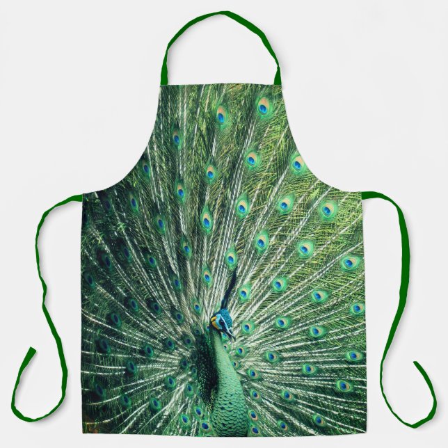 Peacock Strut  Apron (Front)