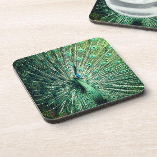 Peacock Strut Coaster