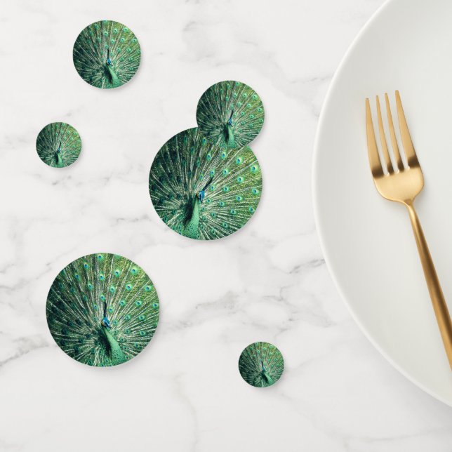 Peacock Strut  Confetti (Group)