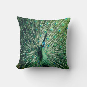 Peacock Strut Cushion