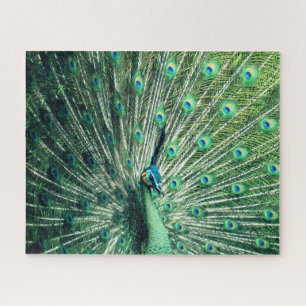 Peacock Strut  Jigsaw Puzzle