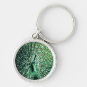 Peacock Strut  Key Ring