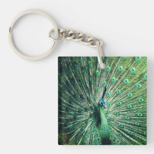 Peacock Strut Key Ring