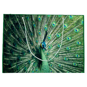 Peacock Strut  Large Gift Bag