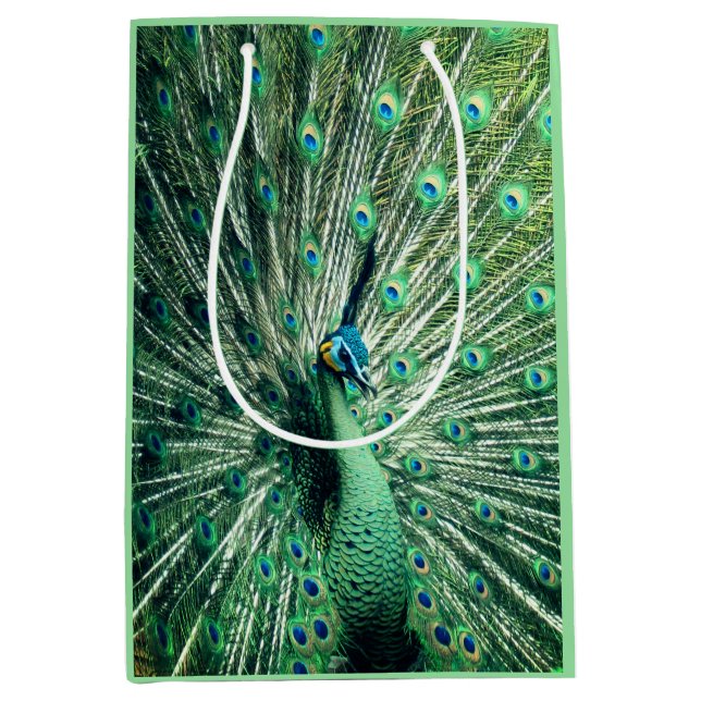 Peacock Strut  Medium Gift Bag (Front)