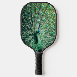 Peacock Strut Pickleball Paddle