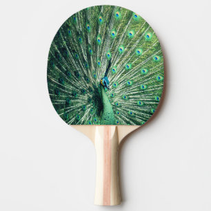 Peacock Strut  Ping Pong Paddle