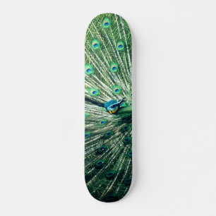 Peacock Strut Skateboard
