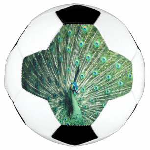 Peacock Strut Soccer Ball
