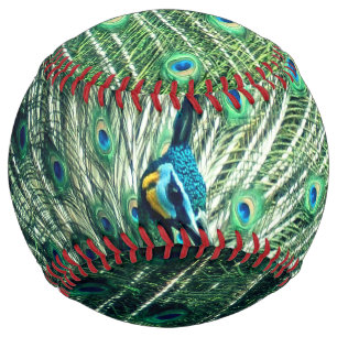 Peacock Strut  Softball