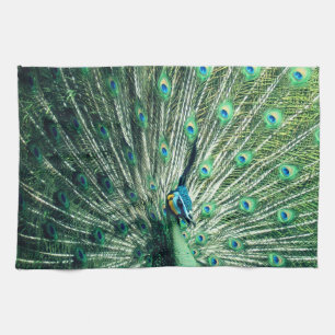 Peacock Strut Tea Towel