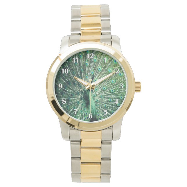 Peacock Strut White Numbers Watch (Front)
