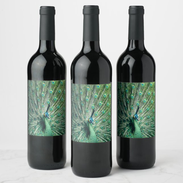 Peacock Strut  Wine Label (Bottles)