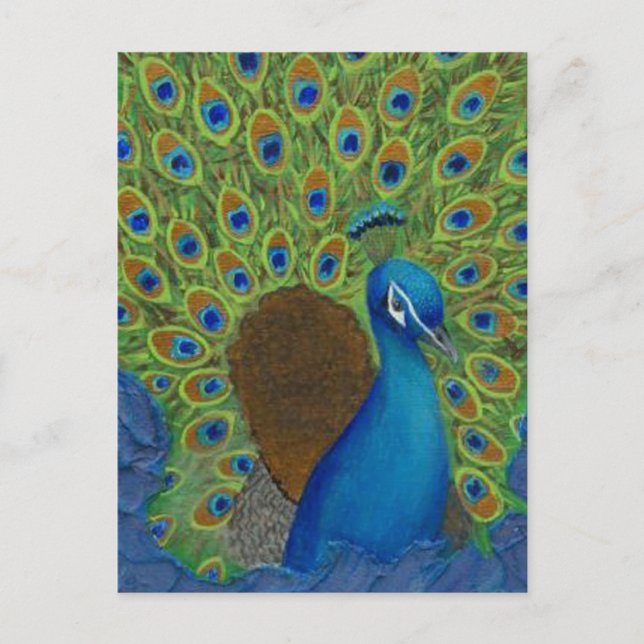 Peacock, Strut Your Feathers Postcard (Front)