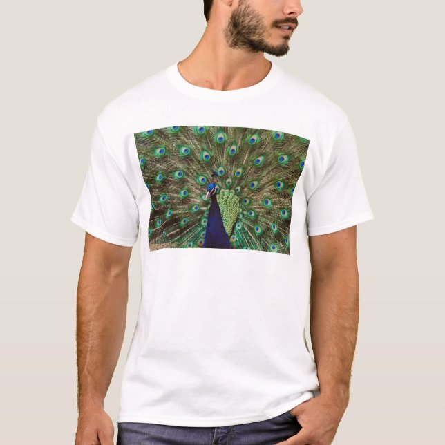 Peacock T-Shirt (Front)