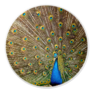 Peacock Tail Feathers Ceramic Knob