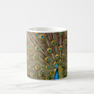 Peacock Tail Feathers Coffee Mug