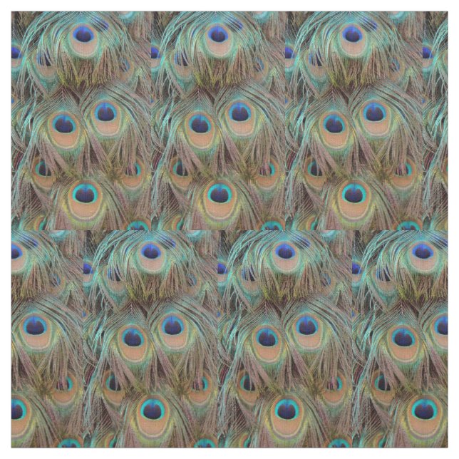 Peacock Tail Feathers Fabric (Swatch)
