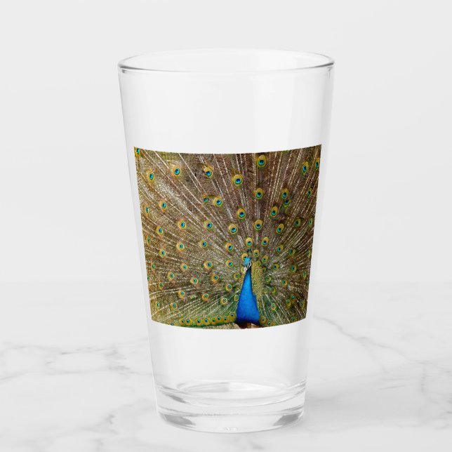Peacock Tail Feathers Glass (Front)