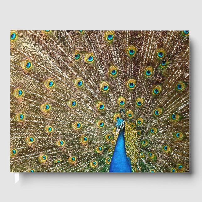 Peacock Tail Feathers Guest Book (Front)