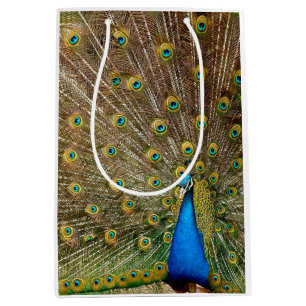 Peacock Tail Feathers Medium Gift Bag