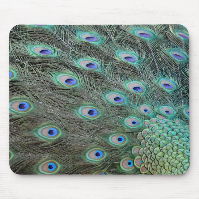 Peacock tail feathers mouse pad (Front)
