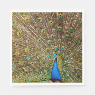 Peacock Tail Feathers Napkin