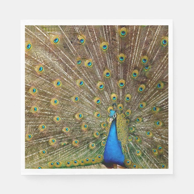 Peacock Tail Feathers Napkin (Front)