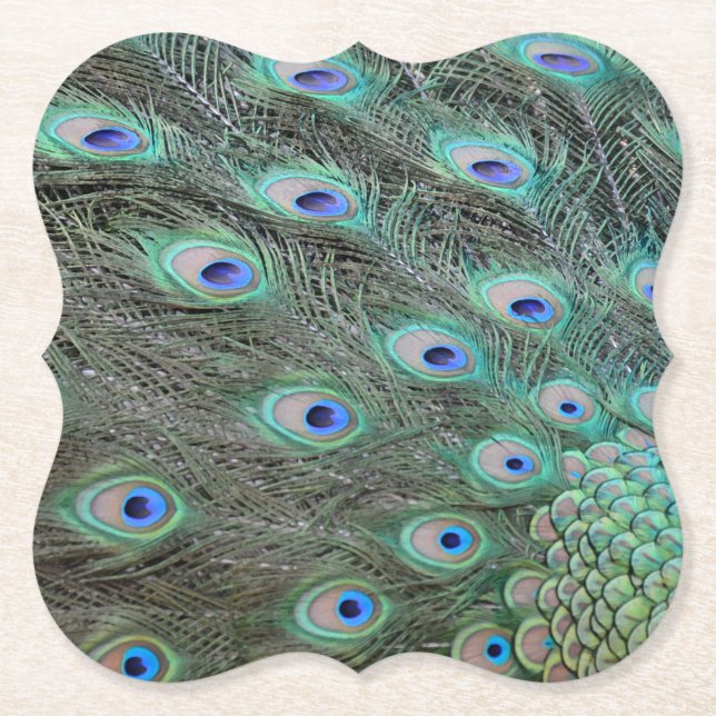 Peacock tail feathers paper coaster (Front)
