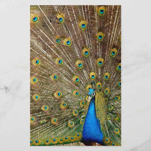 Peacock Tail Feathers Stationery (Front)
