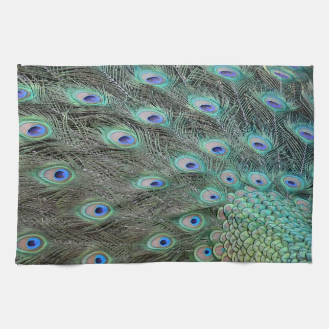 Peacock tail feathers tea towel (Horizontal)